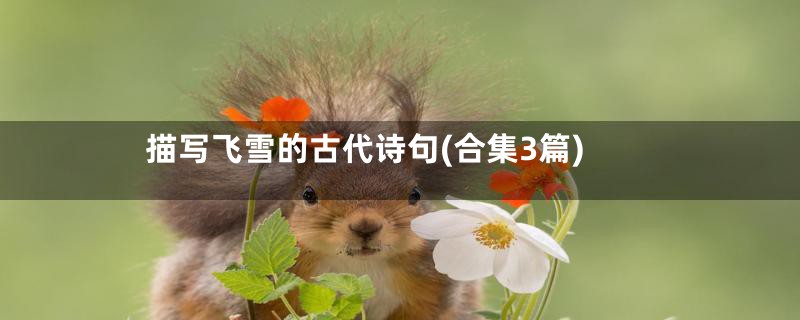 描写飞雪的古代诗句(合集3篇)