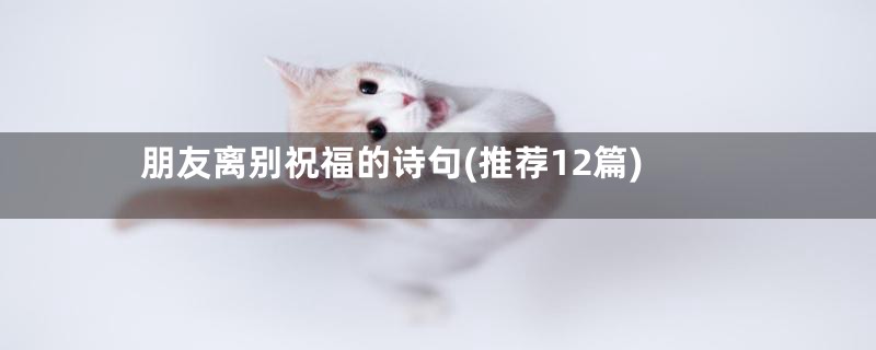 朋友离别祝福的诗句(推荐12篇)