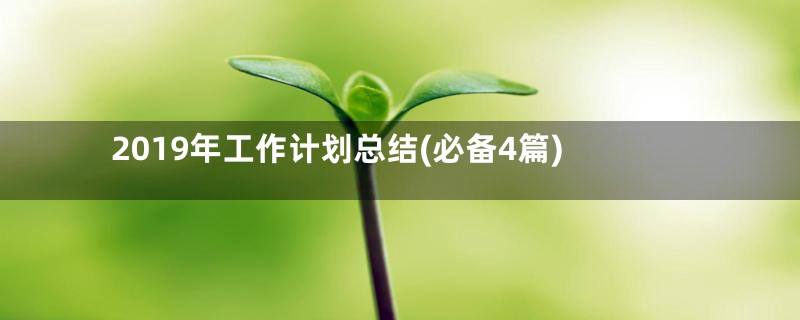 2019年工作计划总结(必备4篇)