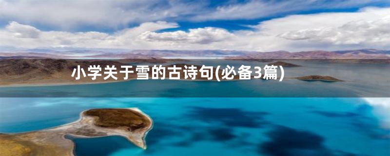 小学关于雪的古诗句(必备3篇)