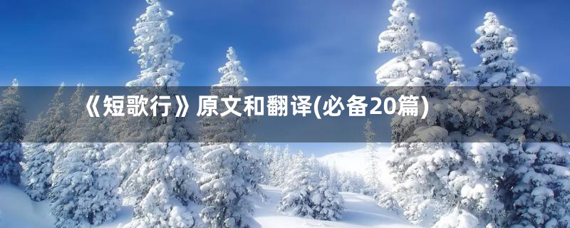 《短歌行》原文和翻译(必备20篇)