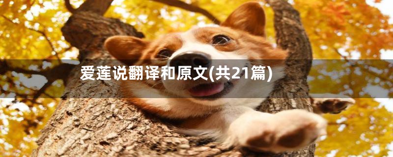 爱莲说翻译和原文(共21篇)