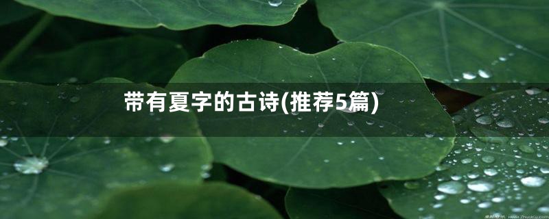 带有夏字的古诗(推荐5篇)