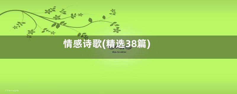 情感诗歌(精选38篇)