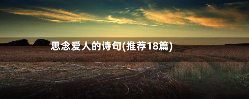 思念爱人的诗句(推荐18篇)
