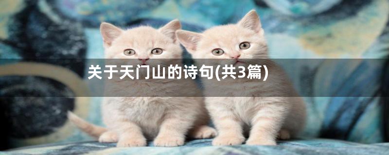 关于天门山的诗句(共3篇)
