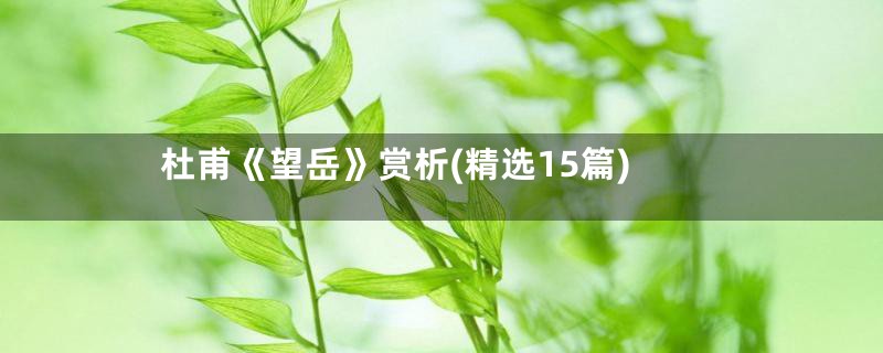 杜甫《望岳》赏析(精选15篇)