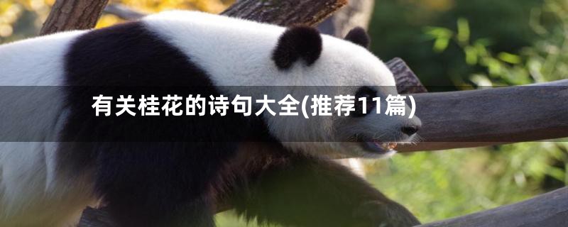 有关桂花的诗句大全(推荐11篇)