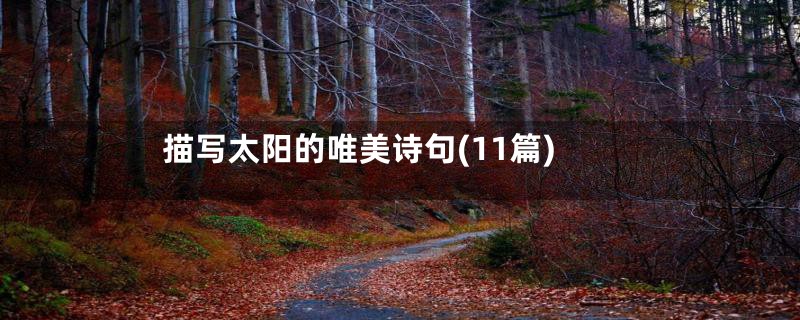 描写太阳的唯美诗句(11篇)