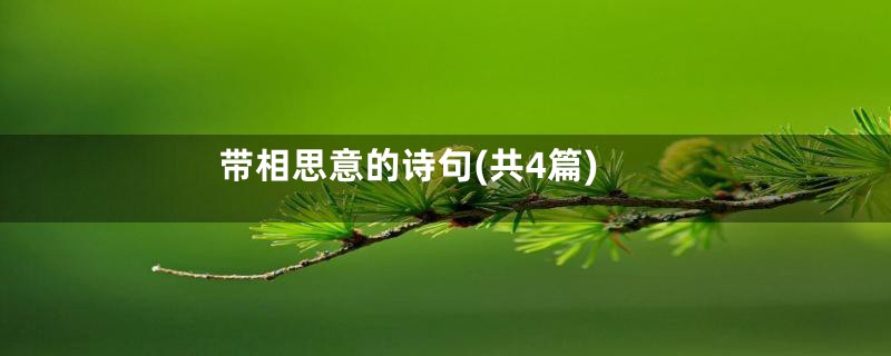 带相思意的诗句(共4篇)