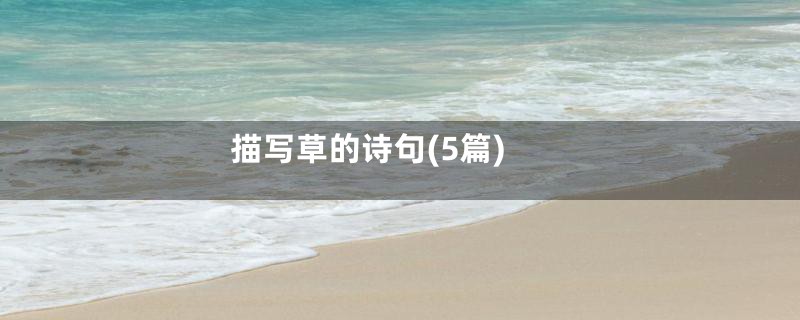 描写草的诗句(5篇)