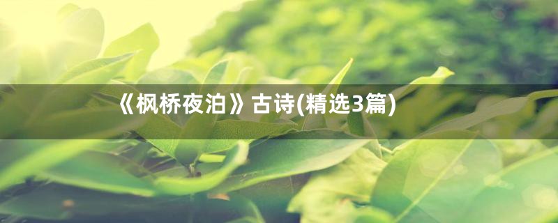 《枫桥夜泊》古诗(精选3篇)