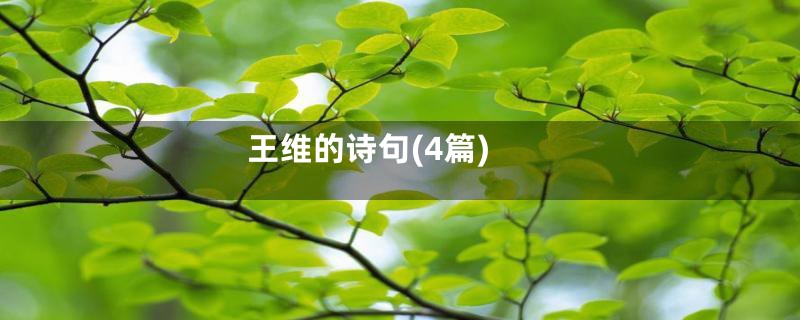 王维的诗句(4篇)