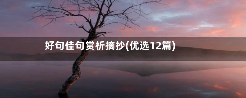 好句佳句赏析摘抄(优选12篇)