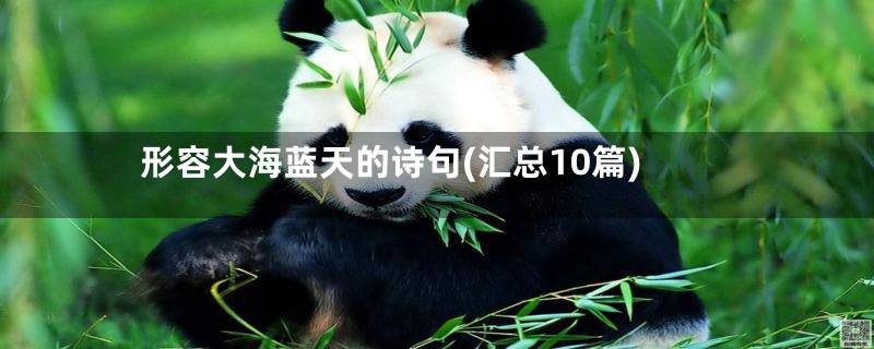 形容大海蓝天的诗句(汇总10篇)