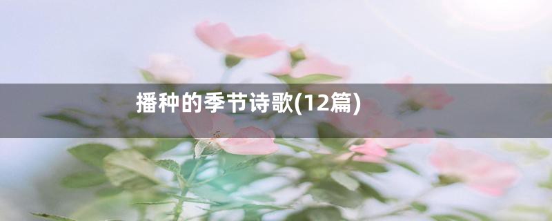 播种的季节诗歌(12篇)