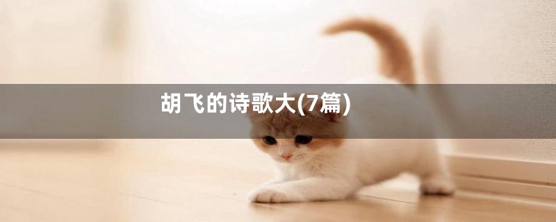 胡飞的诗歌大(7篇)