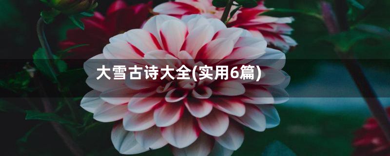 大雪古诗大全(实用6篇)
