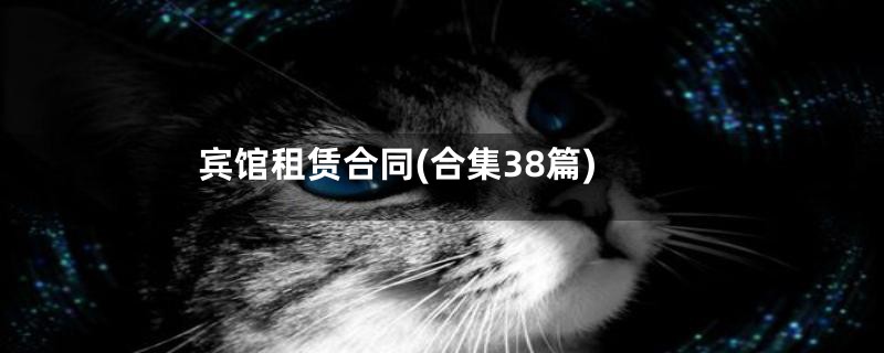宾馆租赁合同(合集38篇)