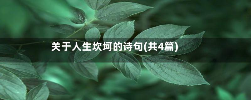 关于人生坎坷的诗句(共4篇)