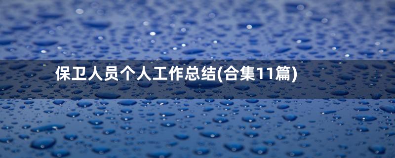 保卫人员个人工作总结(合集11篇)