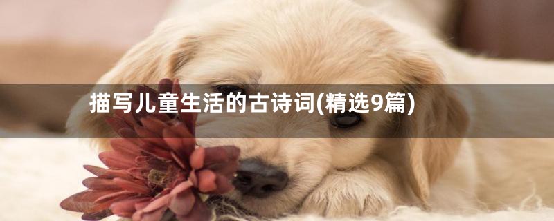 描写儿童生活的古诗词(精选9篇)
