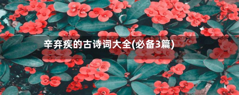 辛弃疾的古诗词大全(必备3篇)