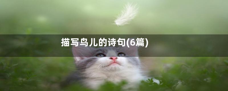 描写鸟儿的诗句(6篇)