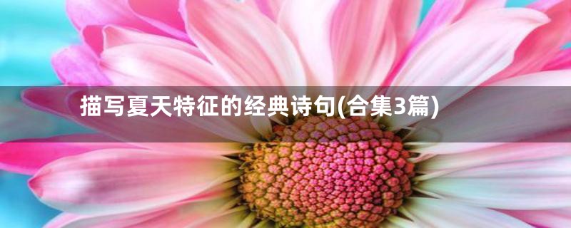 描写夏天特征的经典诗句(合集3篇)