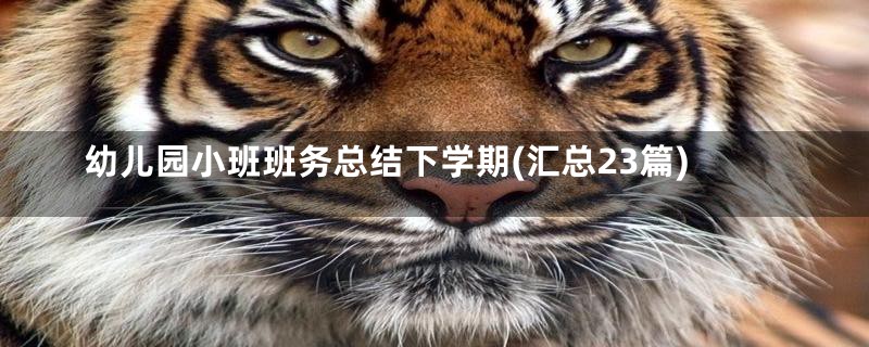 幼儿园小班班务总结下学期(汇总23篇)
