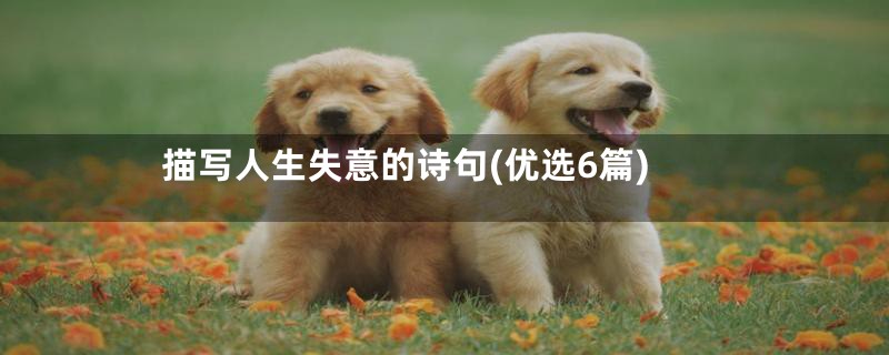 描写人生失意的诗句(优选6篇)
