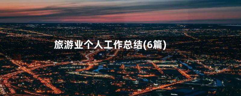 旅游业个人工作总结(6篇)