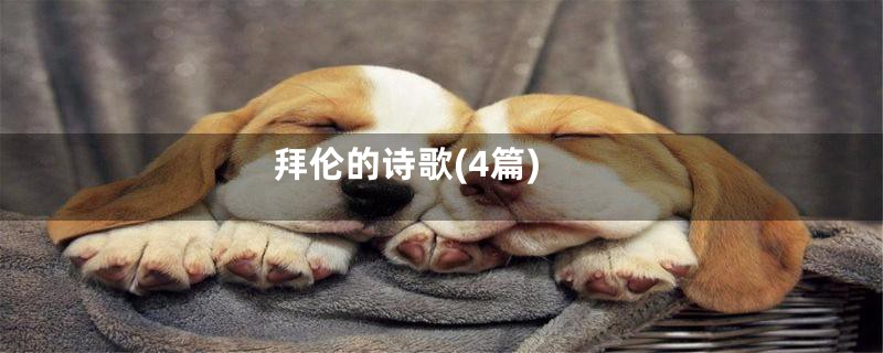 拜伦的诗歌(4篇)