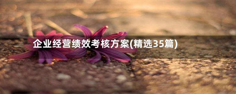 企业经营绩效考核方案(精选35篇)