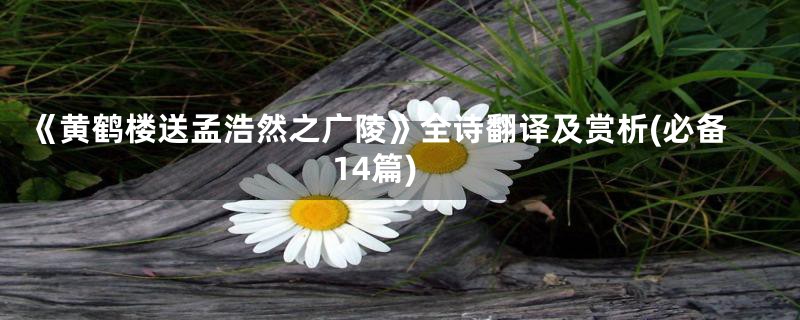 《黄鹤楼送孟浩然之广陵》全诗翻译及赏析(必备14篇)