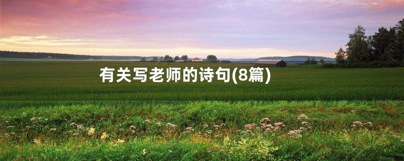 有关写老师的诗句(8篇)