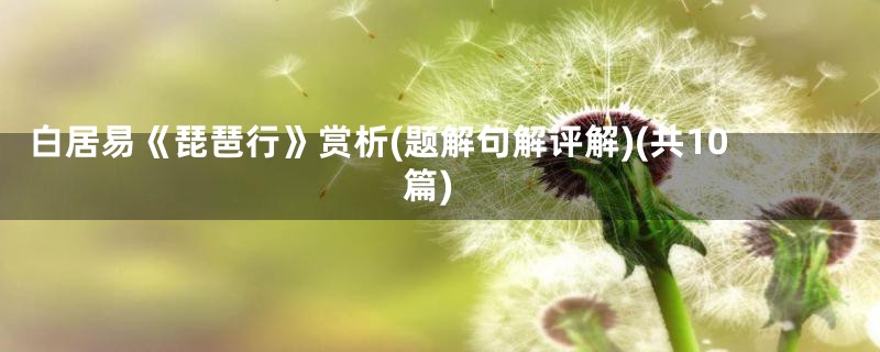 白居易《琵琶行》赏析(题解句解评解)(共10篇)