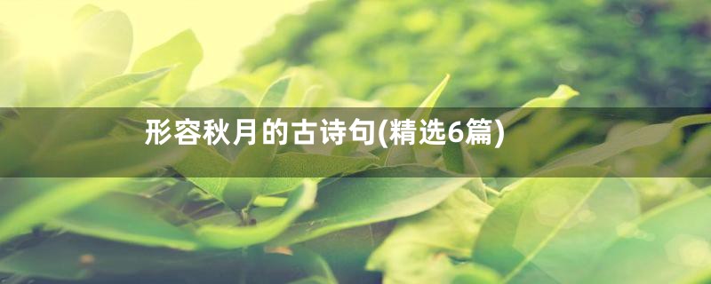 形容秋月的古诗句(精选6篇)