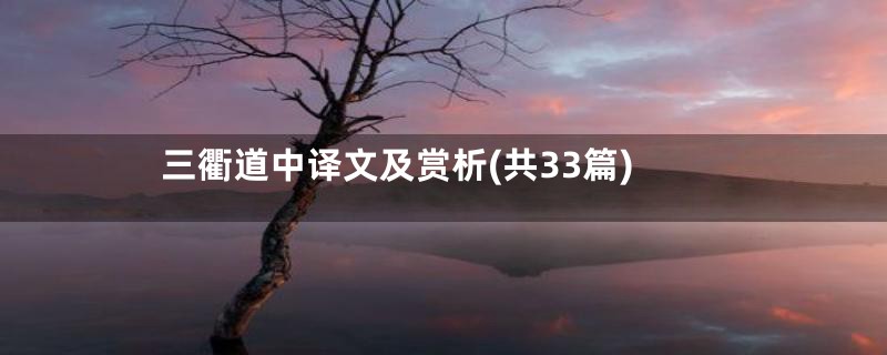三衢道中译文及赏析(共33篇)
