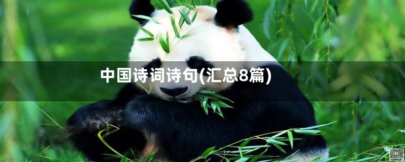 中国诗词诗句(汇总8篇)