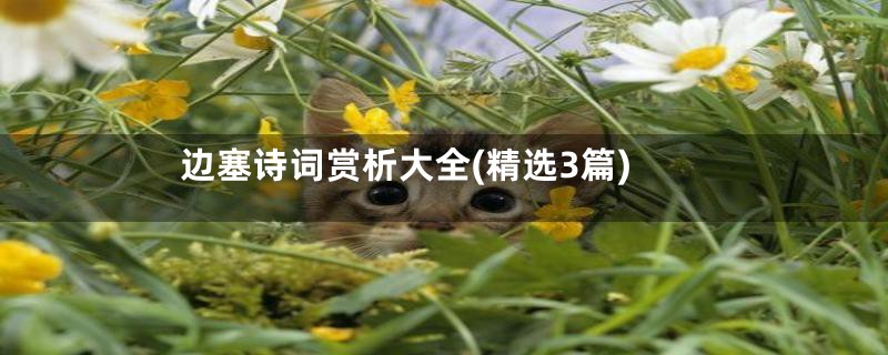 边塞诗词赏析大全(精选3篇)