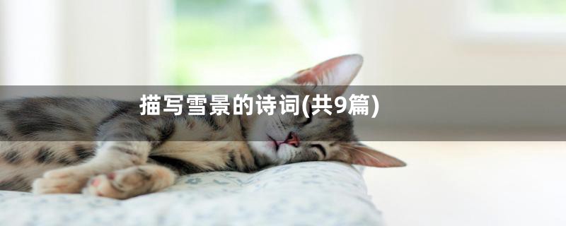 描写雪景的诗词(共9篇)