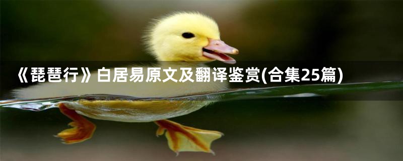 《琵琶行》白居易原文及翻译鉴赏(合集25篇)