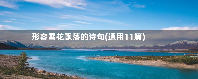 形容雪花飘落的诗句(通用11篇)