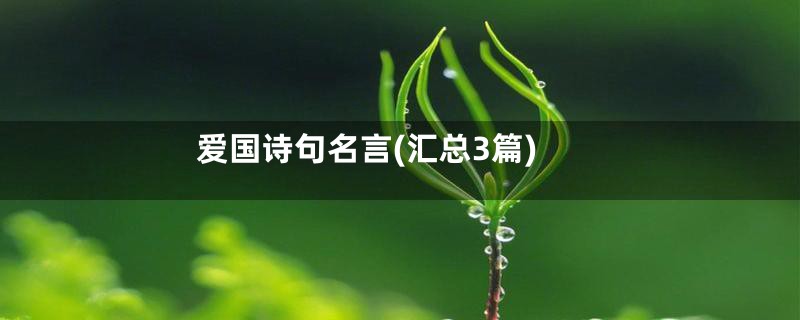 爱国诗句名言(汇总3篇)