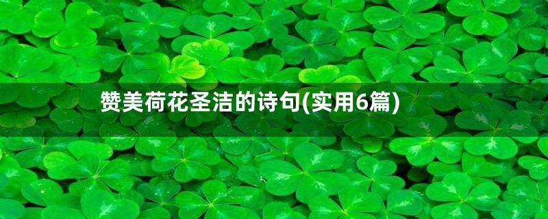 赞美荷花圣洁的诗句(实用6篇)