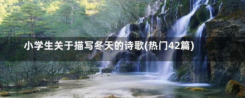 小学生关于描写冬天的诗歌(热门42篇)