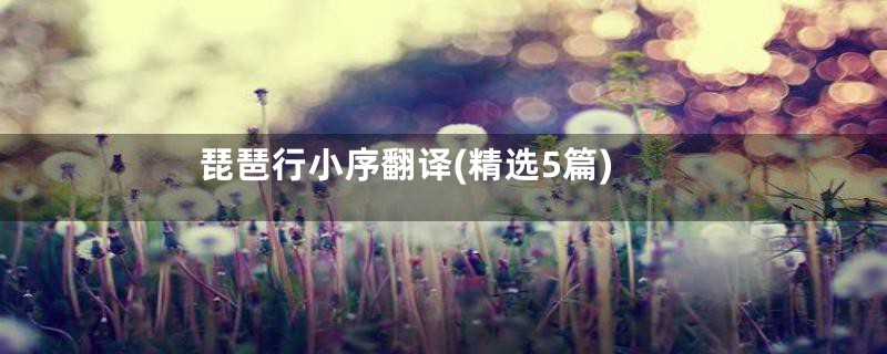 琵琶行小序翻译(精选5篇)