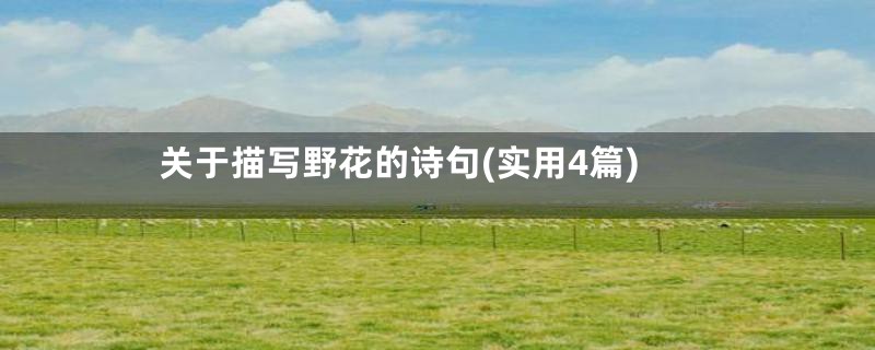 关于描写野花的诗句(实用4篇)