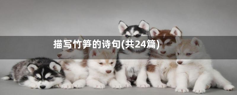 描写竹笋的诗句(共24篇)